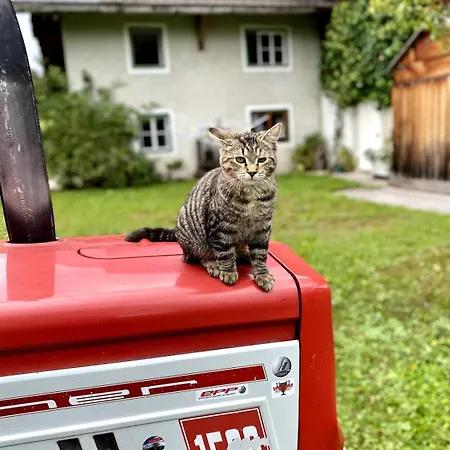 Διαμέρισμα Bleckwand Am Buchberghof