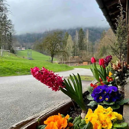Apartmán Bleckwand Am Buchberghof
