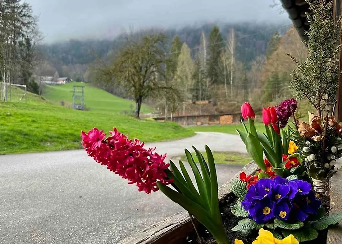 Apartmán Bleckwand Am Buchberghof