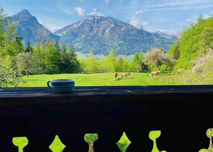 Bleckwand Am Buchberghof Apartmán *