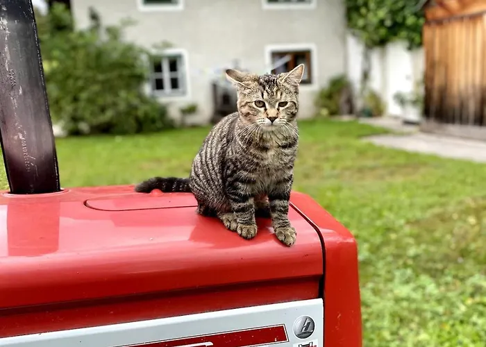 Apartmán Bleckwand Am Buchberghof